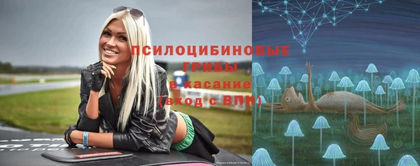 героин Алексин